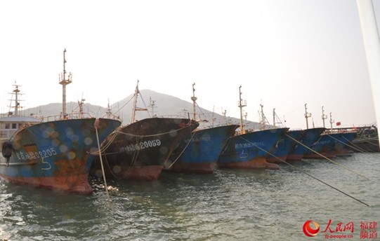Ships off Pingtan seized for red coral harvesting