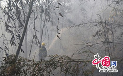 Students responsible for fire outbreak in Nanping