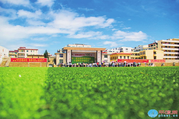 Pingtan gears up for NYG softball games