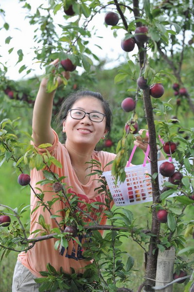 Blossom of an orchard dream