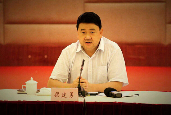 Longyan aspires for sports boom: official