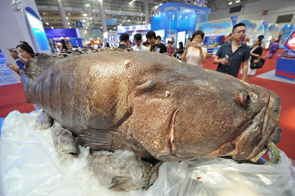 Fishery expo kicks off in Fuzhou