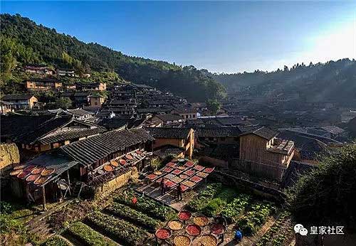 Fujian village celebrates harvest in December