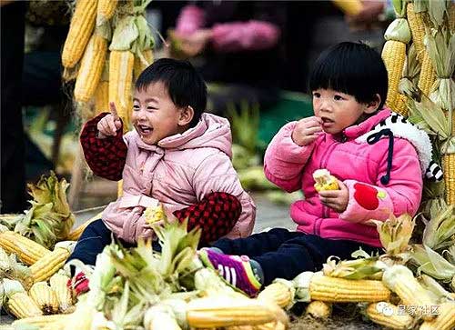Fujian village celebrates harvest in December
