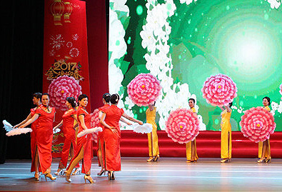 Fujian senior citizens star in Spring Fest celebration
