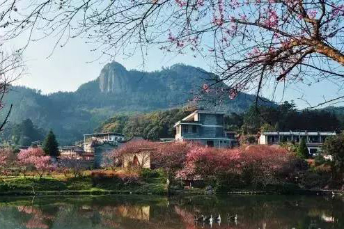 Panorama of flowery Fujian