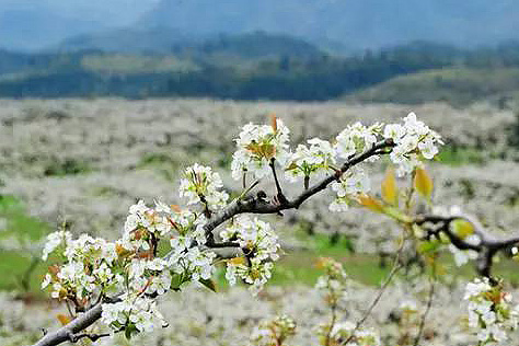 Panorama of flowery Fujian