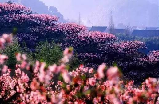 Panorama of flowery Fujian