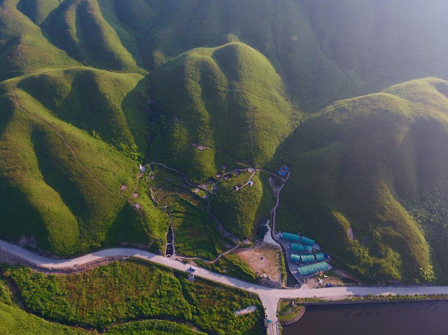 Alpine meadow in Fujian provides ideal summer attraction