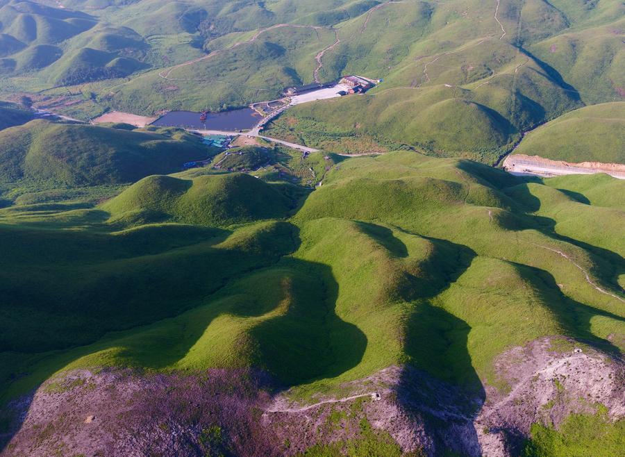 Alpine meadow in Fujian provides ideal summer attraction