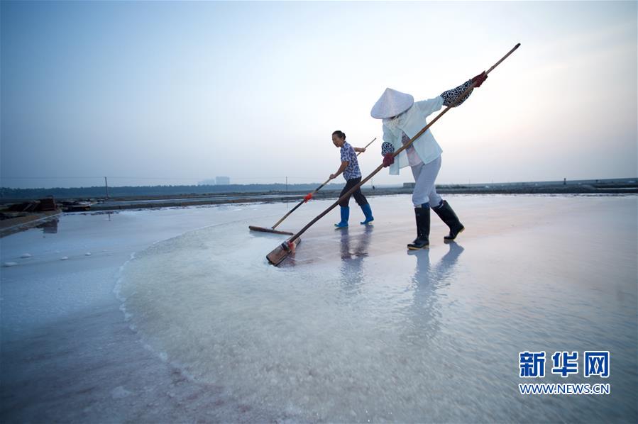 Fujian’s largest saltworks bustling with busy summer season
