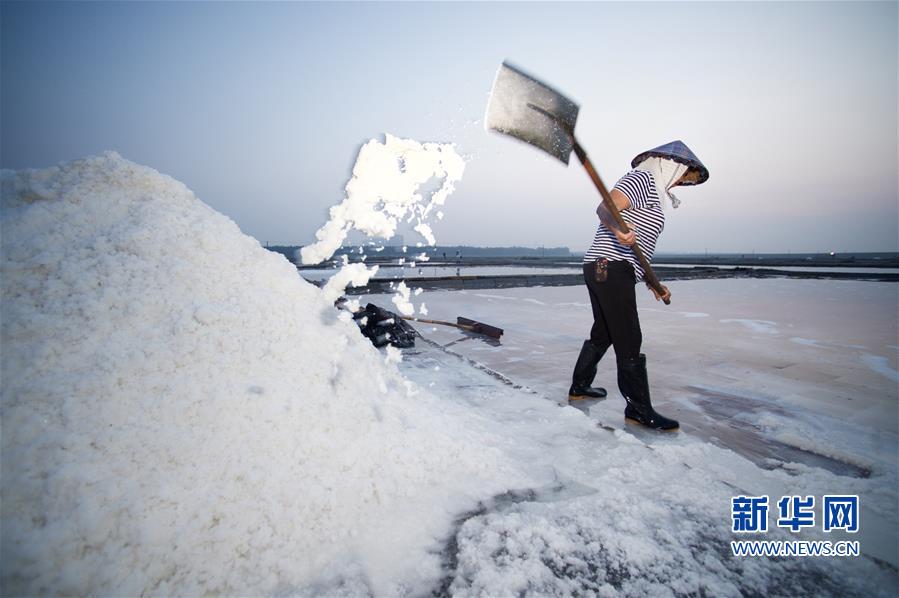 Fujian’s largest saltworks bustling with busy summer season
