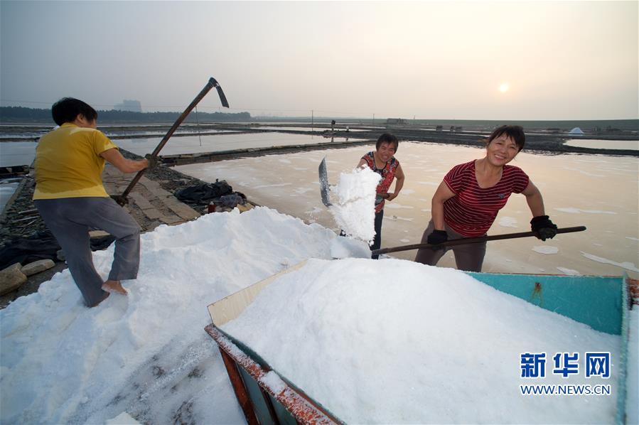 Fujian’s largest saltworks bustling with busy summer season