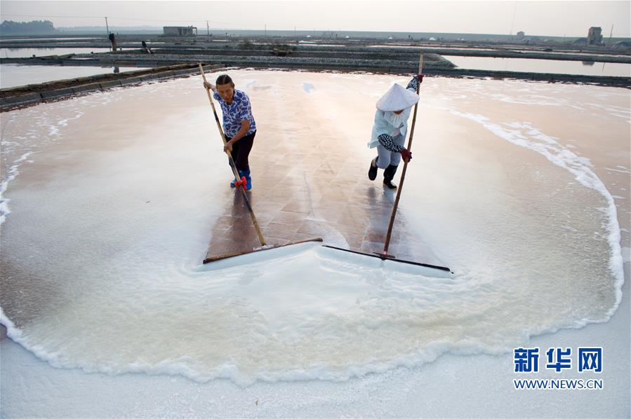 Fujian’s largest saltworks bustling with busy summer season