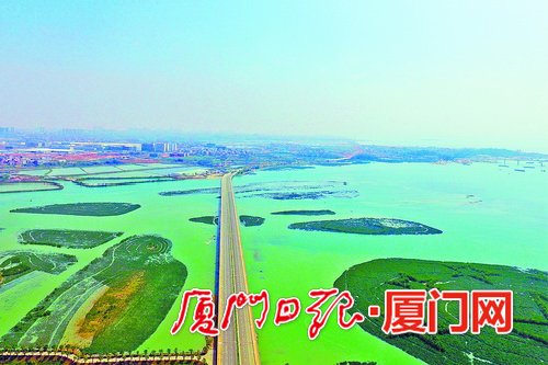 Xiamen promises a carbon-neutral BRICS Summit