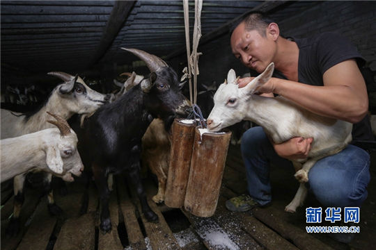 Goat changes the lives of family in Fujian