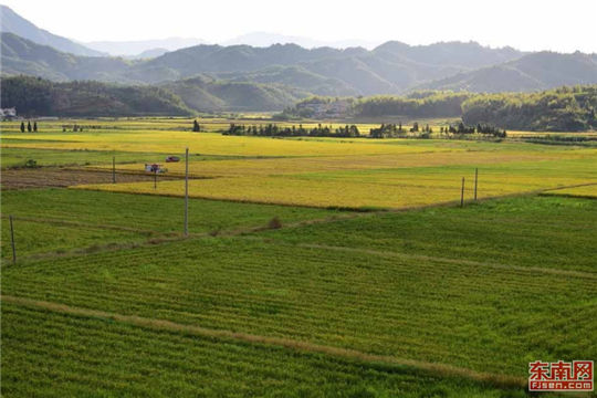 Farmers welcome harvest season in Fujian