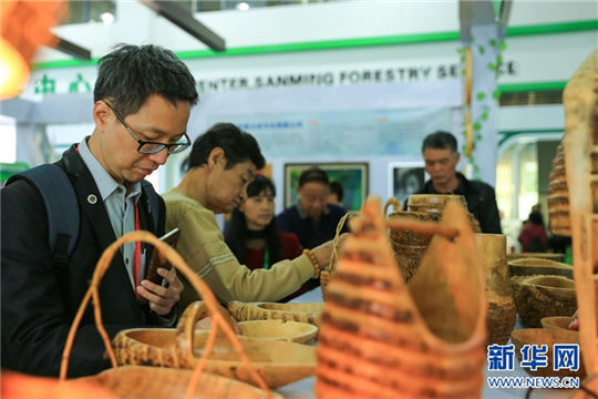 Forestry expo highlights cross-Straits cooperation