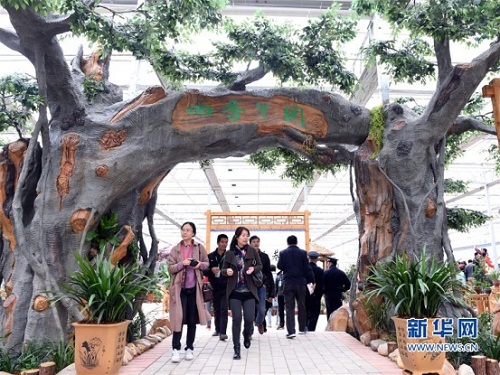 Orchid exhibition opens in Fujian county