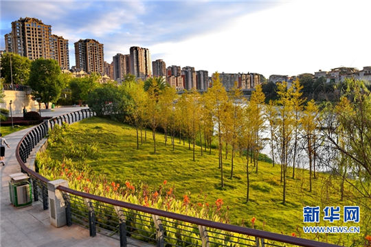 Fujian city embraces green development