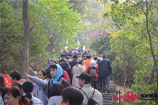 Fuzhou residents climb high to celebrate New Year