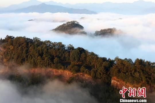 Wuyishan Mountains in a sea of clouds