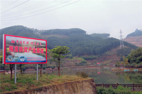 Wushi, where rural development meets modern, happy and green ideas