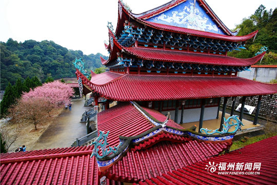Plum blossoms add color to ancient temple