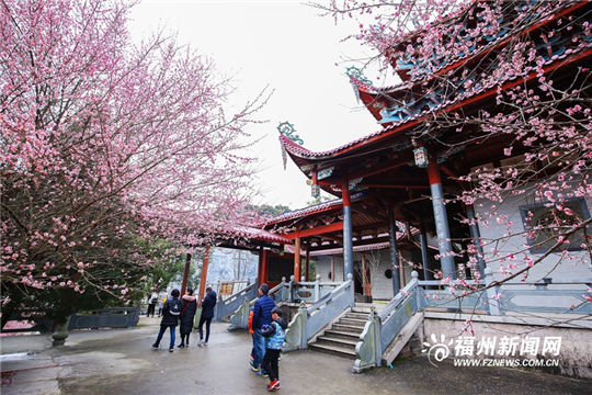 Plum blossoms add color to ancient temple