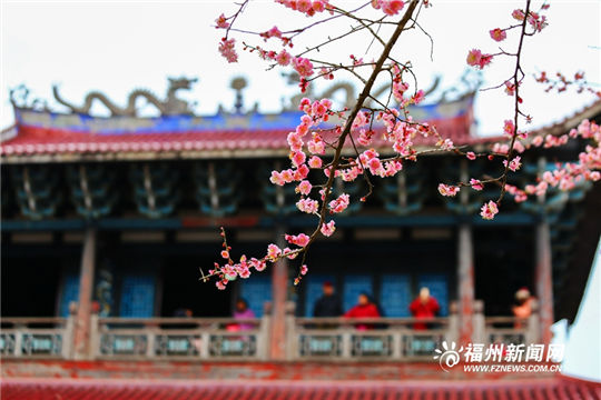 Plum blossoms add color to ancient temple