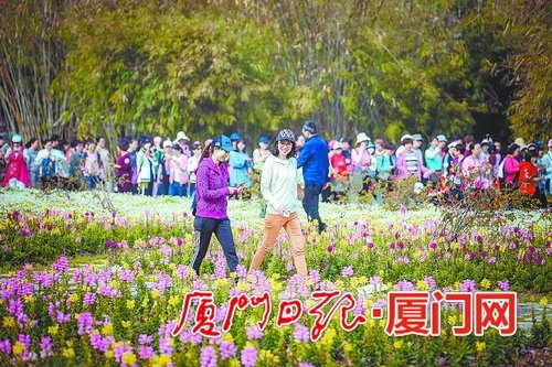 Brisk walking activity to greet Women's Day