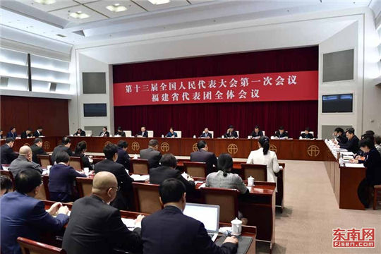 Fujian NPC delegation deliberates on draft amendments to Constitution