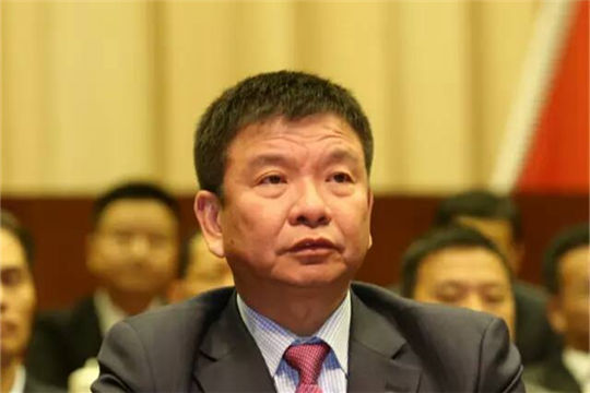 Building Xiamen into an international aviation hub: CPPCC member