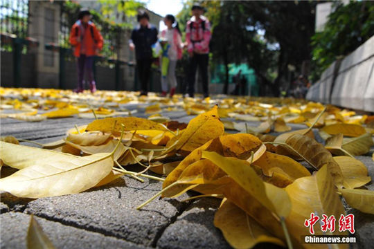 In pics: Autumn view in spring