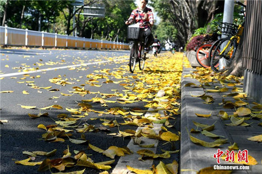 In pics: Autumn view in spring