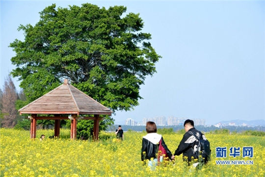 In pics: Springtime views of ancient port city