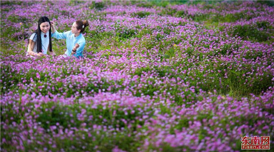 In pics: Booming rural tourism in Yongtai