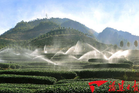 Taiwan's agro investment projects top 2,600 in Fujian