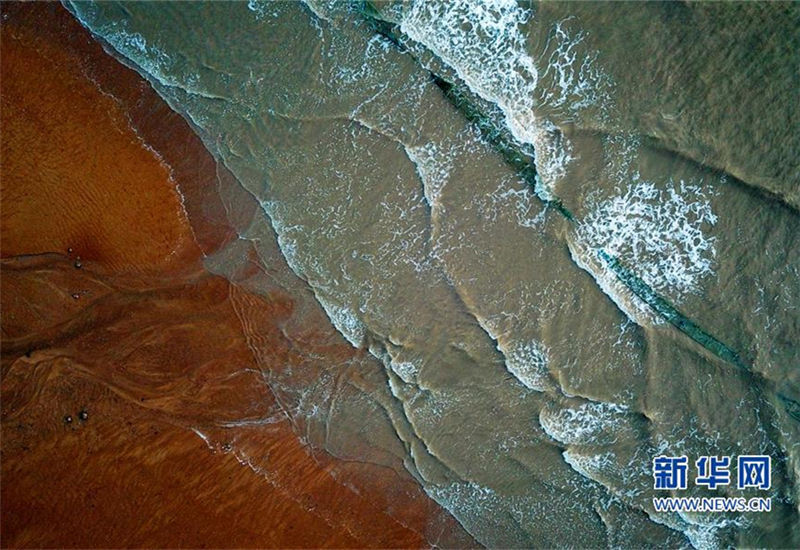 Mudflat scenery draws visitors to Fujian