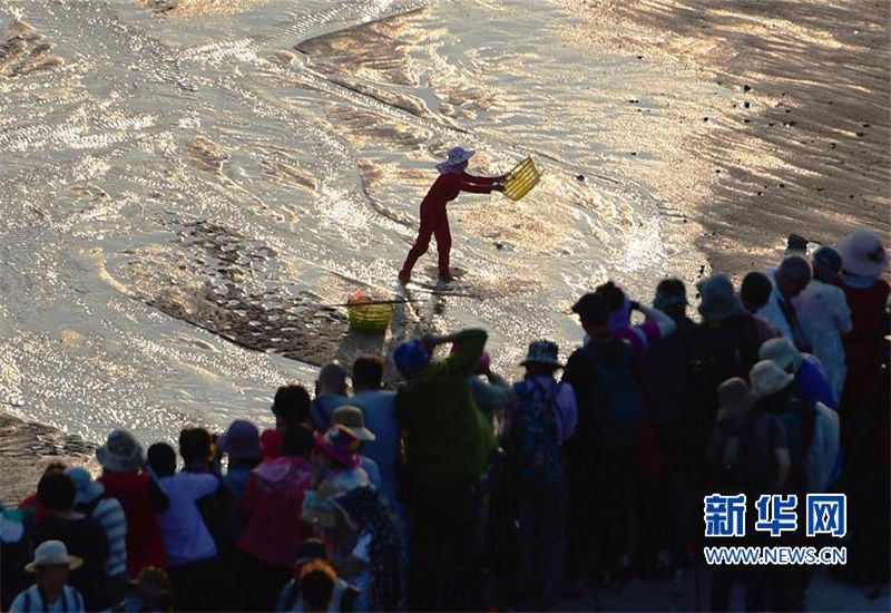 Mudflat scenery draws visitors to Fujian