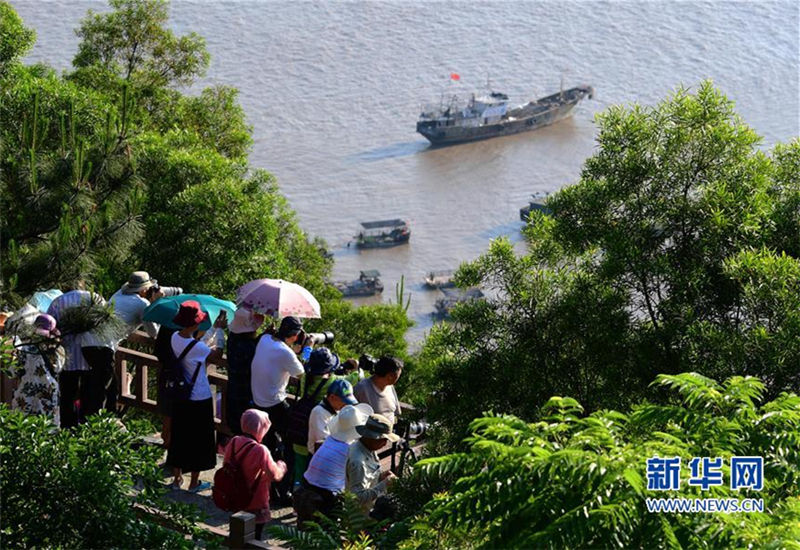 In pics:Mudflat scenery draws visitors to Fujian