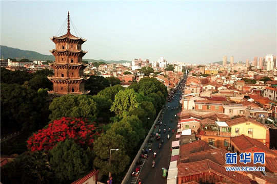Flame trees makes ancient city flamboyant