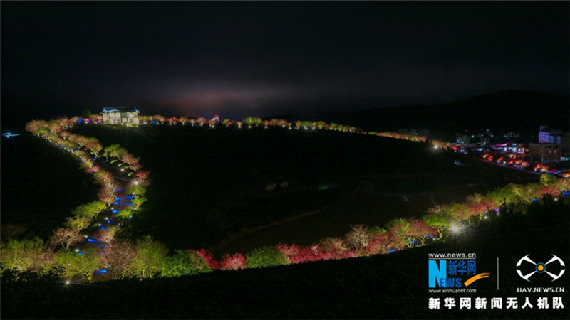 Glittering cherry blossoms a new highlight