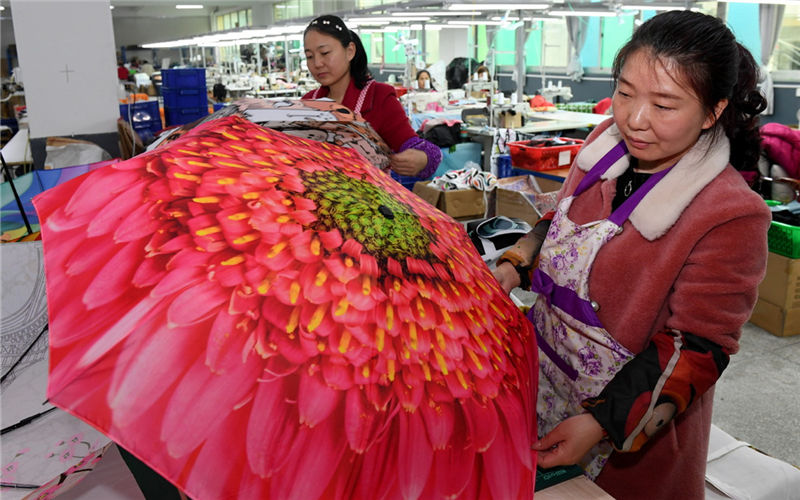 New e-commerce model takes off in Fujian