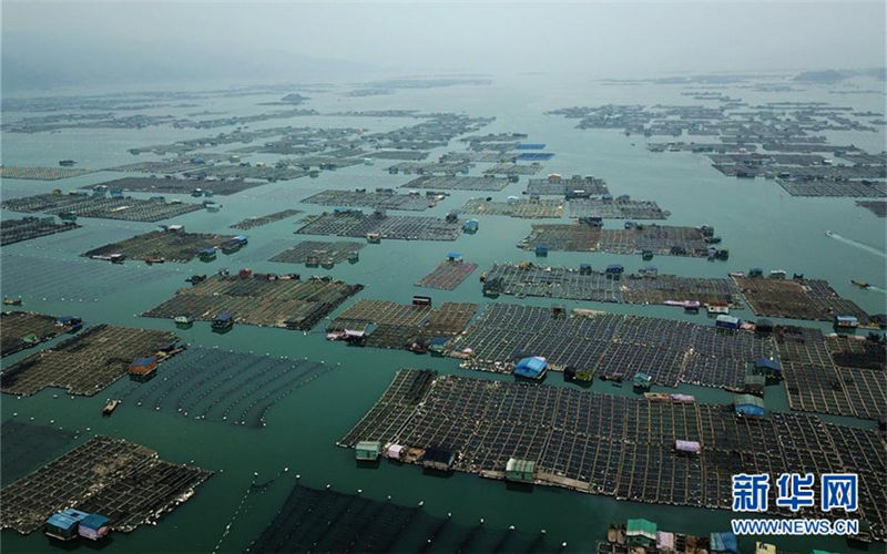 Snapshots of sea cucumber harvest in Xiapu