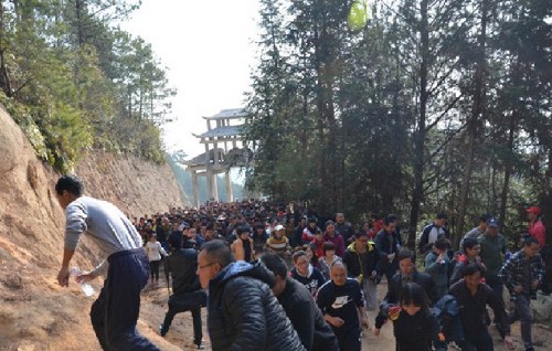 Pingnan holds New Year mountain climbing competition