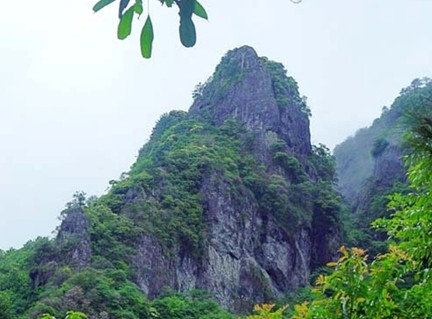 Liugong Rock Forest Park