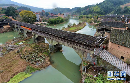 Timber arch lounge bridge: living fossil of bridges