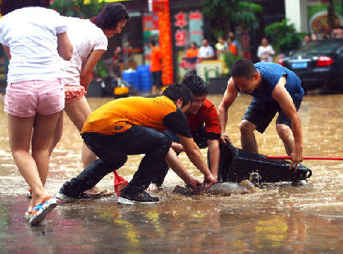 Rainstorms lash S China, affecting 1 million