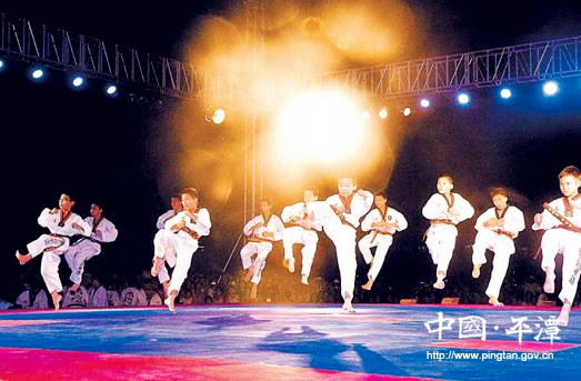 First Cross-Straits Taekwondo Communication Match concludes